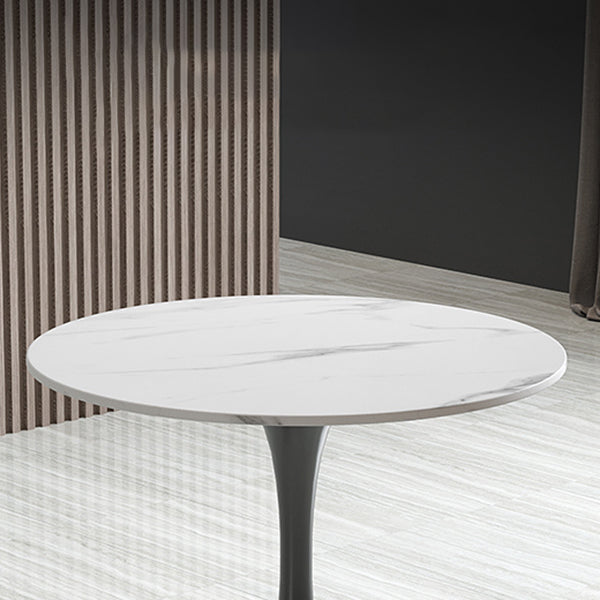 Modern Round Dining Table Sintered Stone Tulip Table for Dining Room