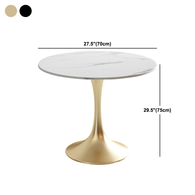 Modern Round Dining Table Sintered Stone Tulip Table for Dining Room