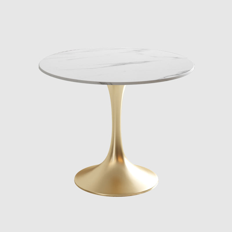 Modern Style Dining Table Tulip Sintered Stone Table for Dining Room