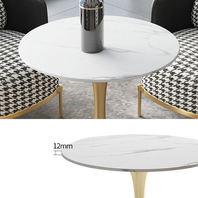 Modern Style Dining Table Tulip Sintered Stone Table for Dining Room