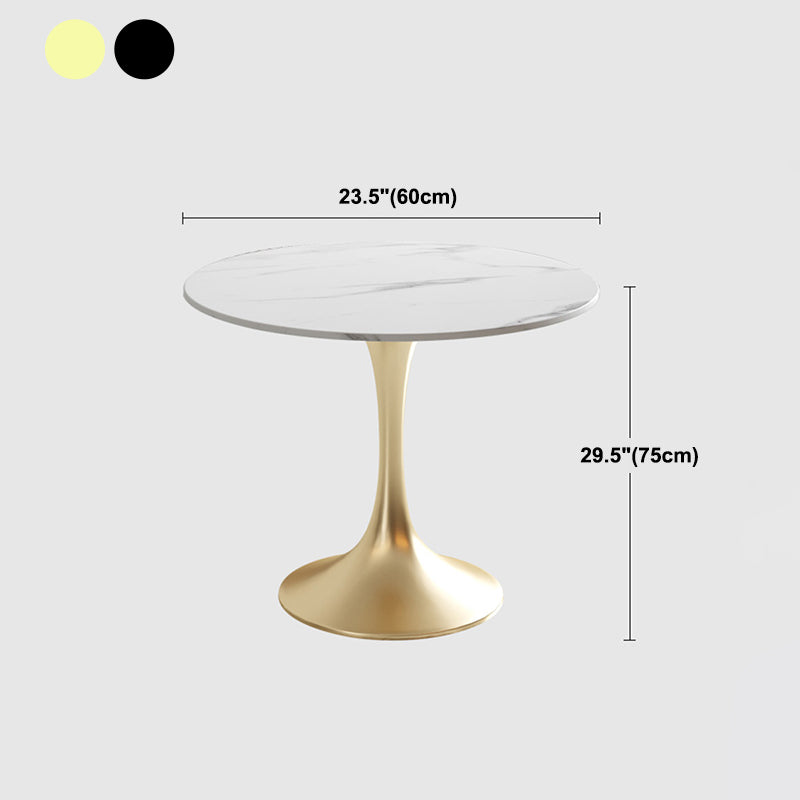 Modern Style Dining Table Tulip Sintered Stone Table for Dining Room