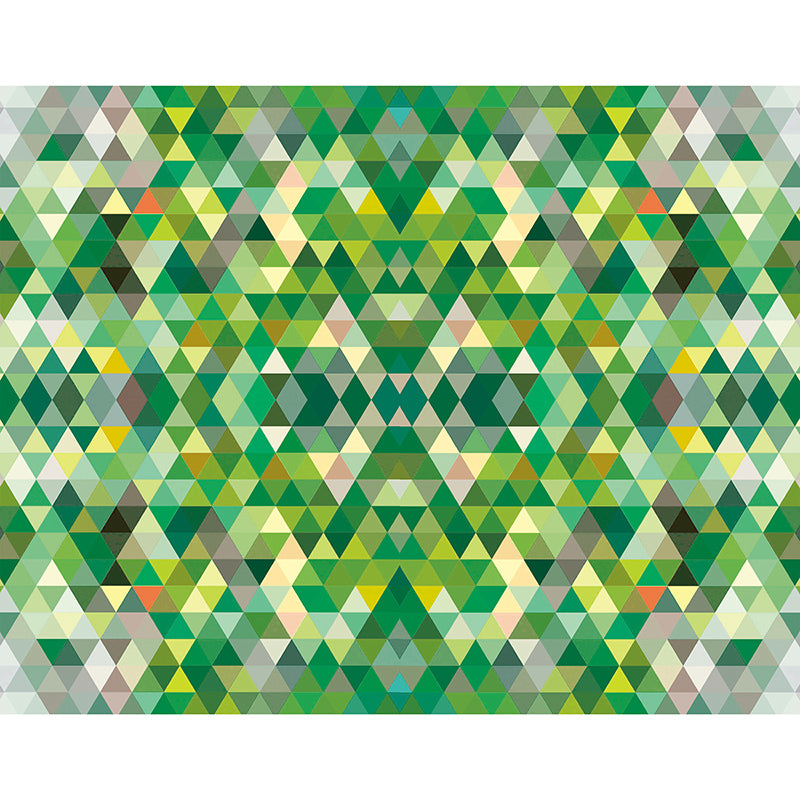 Illustration Mural Stain Resistant Modern Living Room Geometric Wall Mural