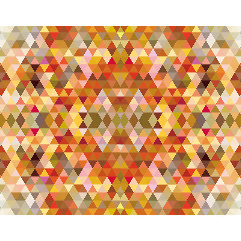 Modern Stain Resistant Wall Mural Geometric Pattern Illustration Wall Mural