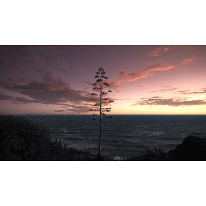 Photography Landscapes Wall Mural Sky Moisture Resistant Modern Wallpaper