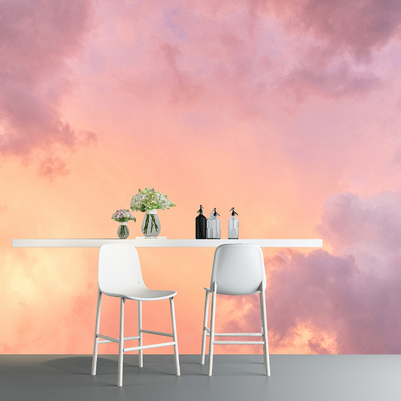 Decorative Sky Mural Stain Resistant Environmental Photography Wall Mural