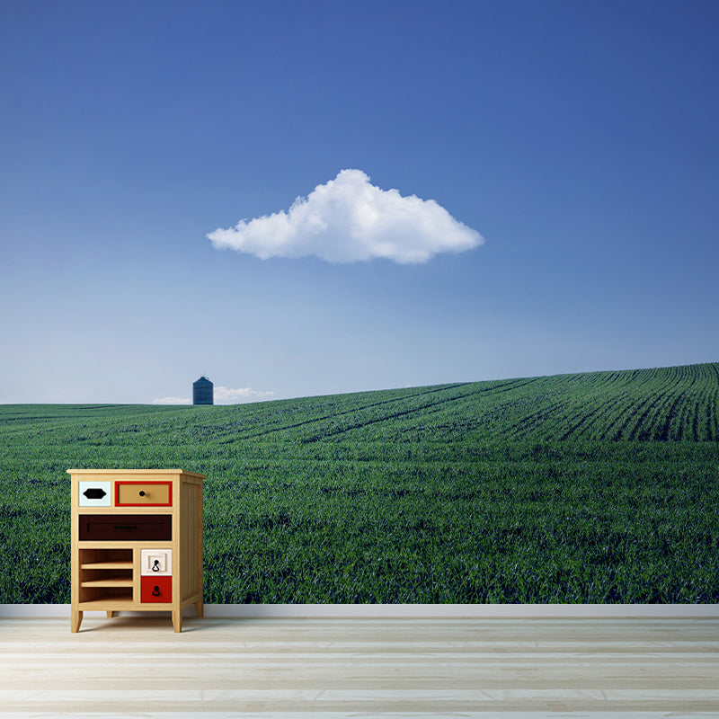 Environmental Wallpaper Sky Stain Resistant Photography Home Mural