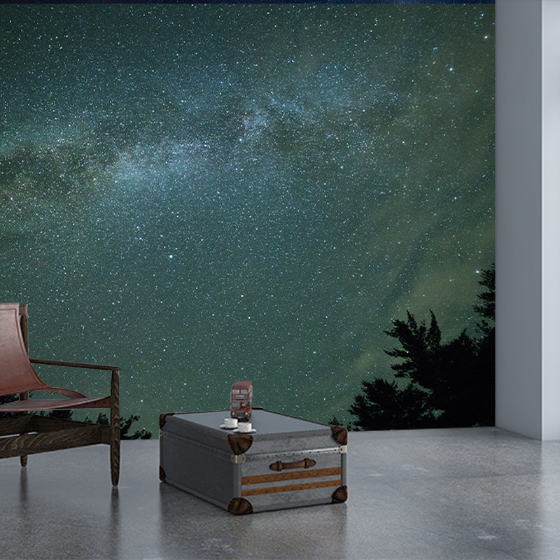 Photography Wall Mural Decorative Stain Resistant Sky Wall Mural