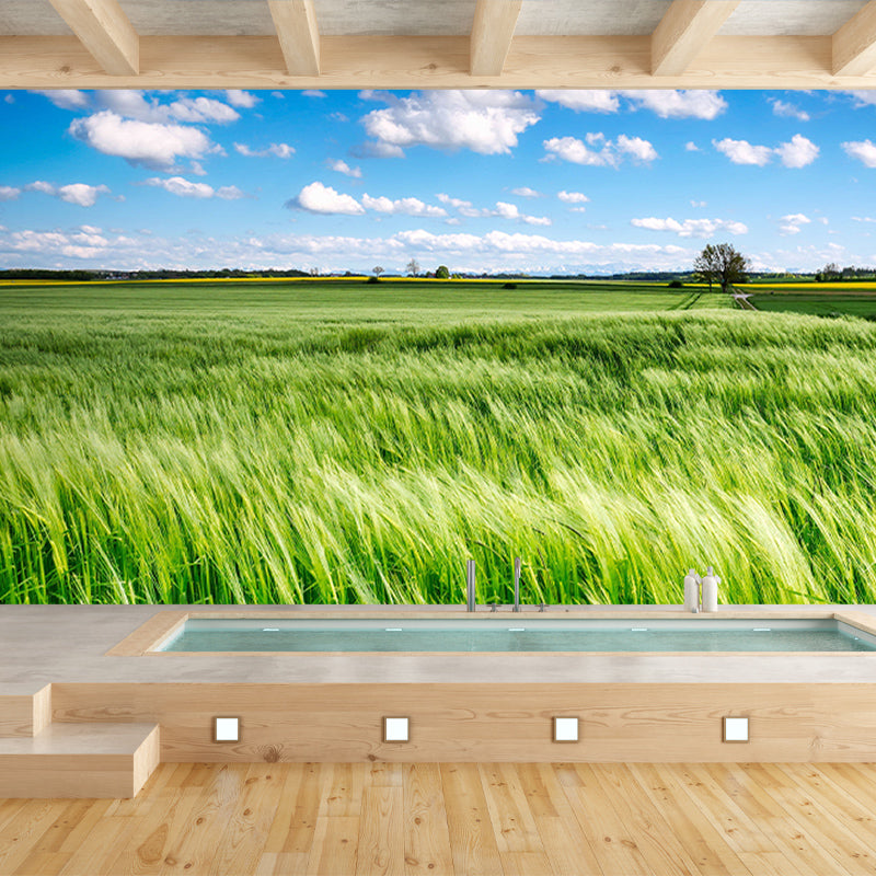 Photography Wall Mural Decorative Stain Resistant Sky Wall Mural