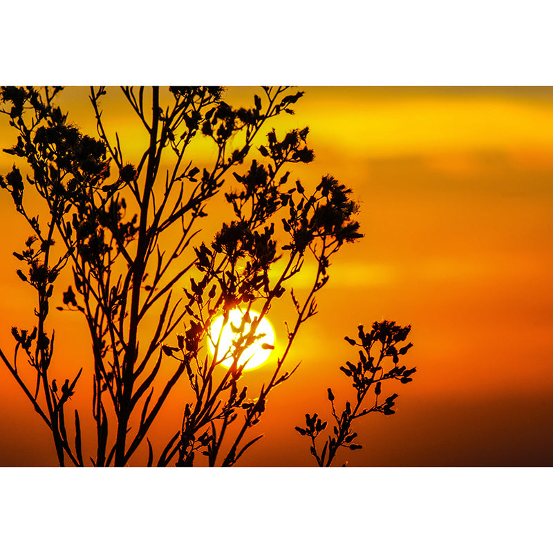 Environmental Sky Print Mural Photography Stain Resistant Bedroom Wall Mural