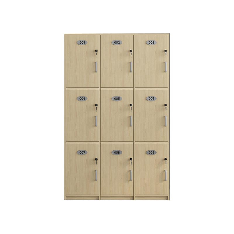 Natural Finish Cabinet with Hinged Door Contemporary Interior Storage Cabinet