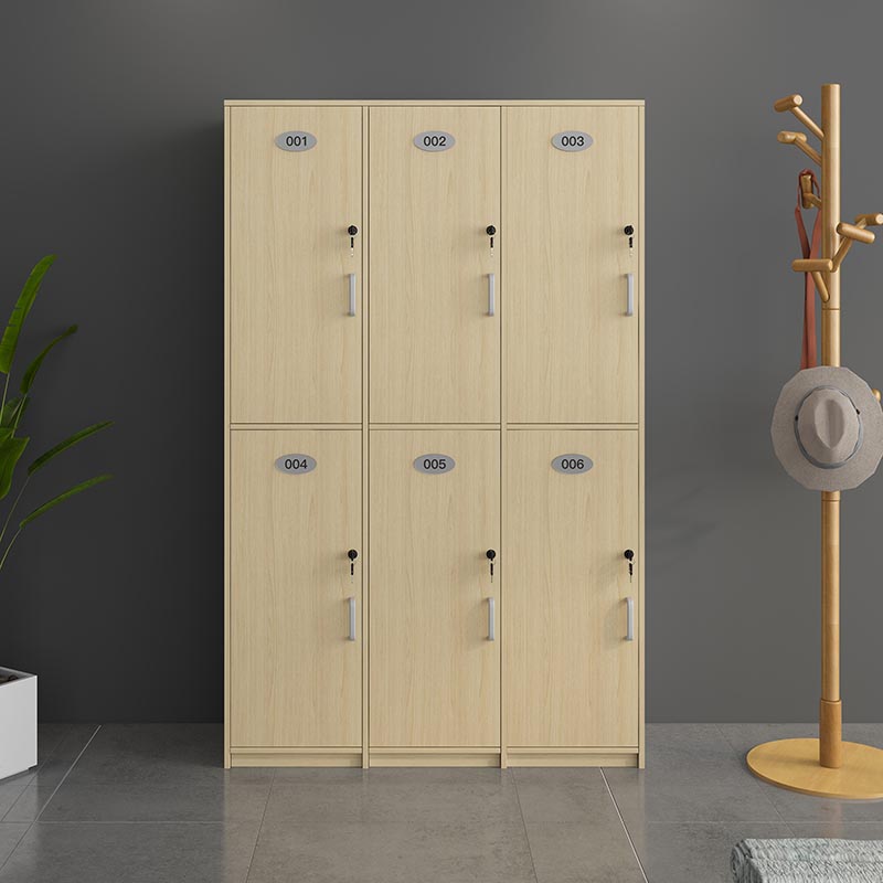 Natural Finish Cabinet with Hinged Door Contemporary Interior Storage Cabinet