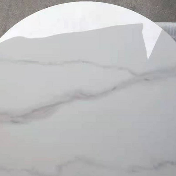 Metal Traditional Luxury Round Table for Dining Room Sintered Stone Table with Pedestal