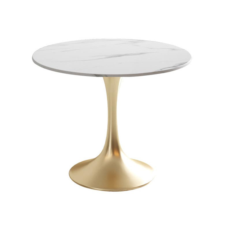 Metal Traditional Luxury Round Dining Table White Sintered Stone Top Table with Tulip Base