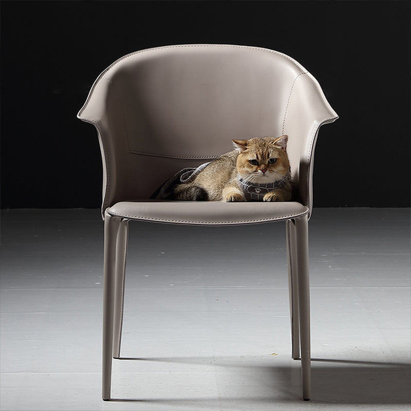 Leather Modern Home Side Chair with Arms Matte Finish Dining Chair
