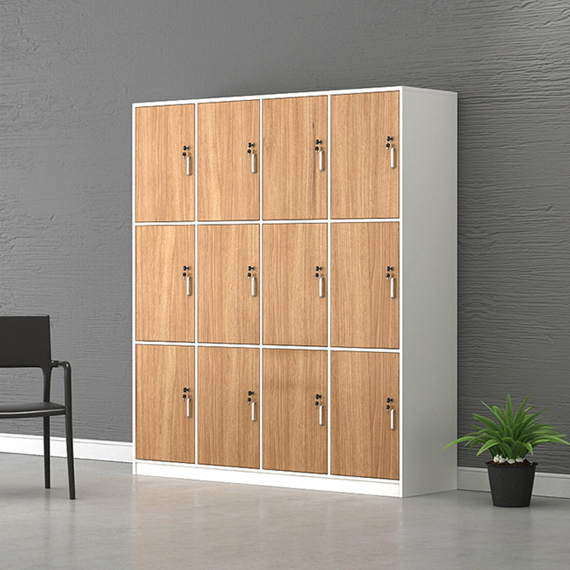 Contemporary Brown Storage Cabinet Manufactured Wood Hinged Door Cabinet