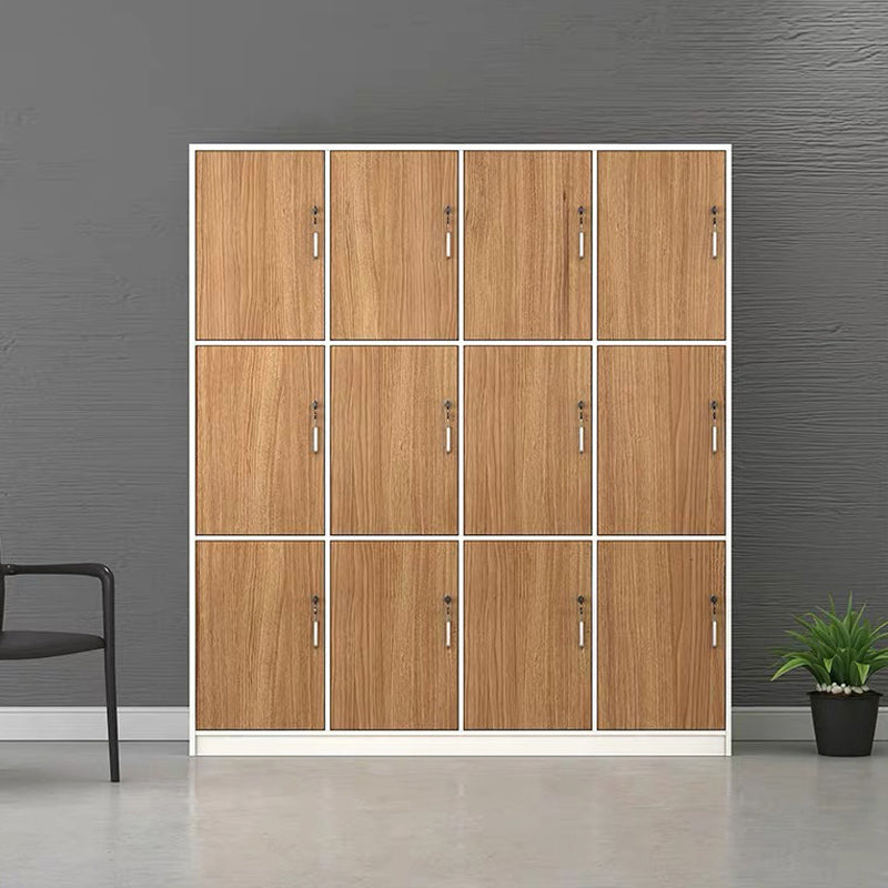 Contemporary Brown Storage Cabinet Manufactured Wood Hinged Door Cabinet