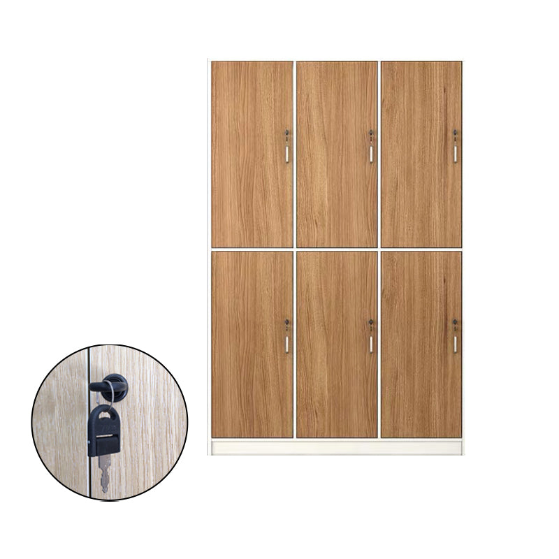 Contemporary Brown Storage Cabinet Manufactured Wood Hinged Door Cabinet