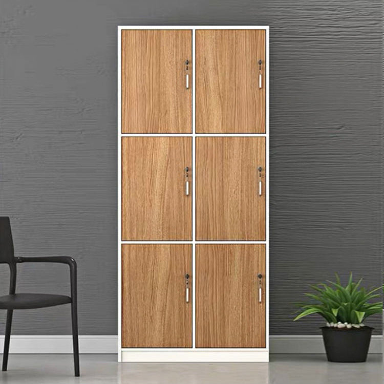 Contemporary Brown Storage Cabinet Manufactured Wood Hinged Door Cabinet