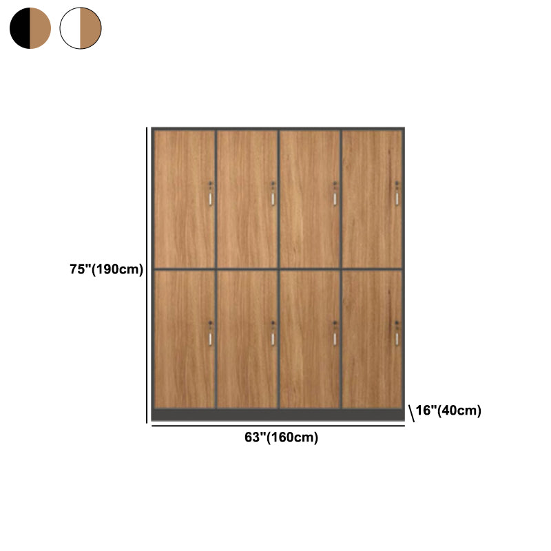 Contemporary Brown Storage Cabinet Manufactured Wood Hinged Door Cabinet
