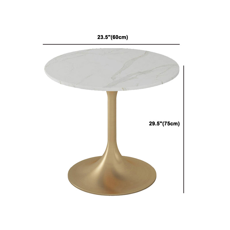 Glam Sintered Stone Dining Set Round 1/2/4/5 Pieces Dining Set for Home Use