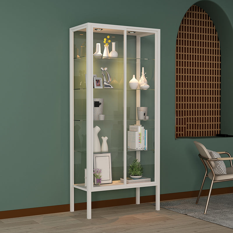 Modern Metal Curio Cabinet Glass Doors with Lighting, 31"L X 16"W