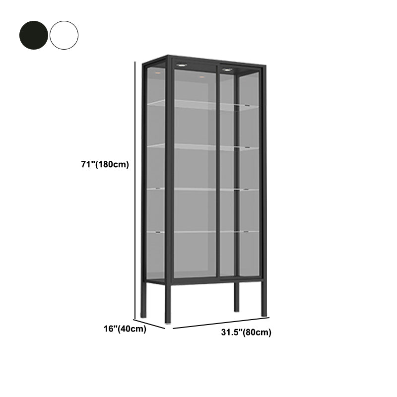 Modern Metal Curio Cabinet Glass Doors with Lighting, 31"L X 16"W