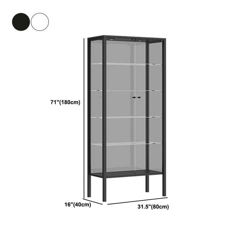 Modern Metal Curio Cabinet Glass Doors with Lighting, 31"L X 16"W