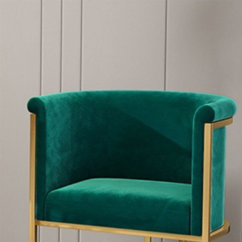 Nordic Arms Included with Goldtone Legs Fixed Back Accent Armchair