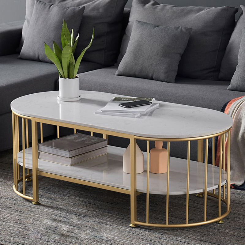 Glam Oval Coffee Table with Marble Top and Storage Shelf and Steel Base