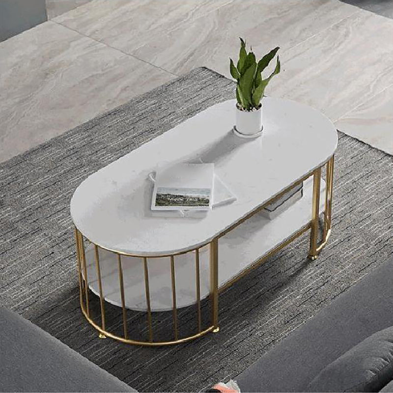 Glam Oval Coffee Table with Marble Top and Storage Shelf and Steel Base