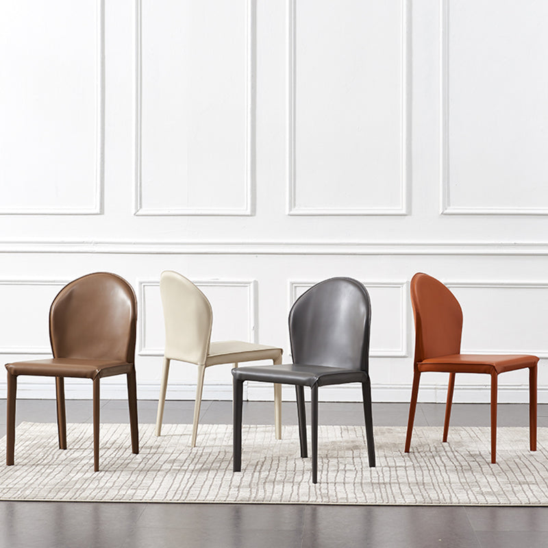 Contemporary Kitchen Dining Side Chair Matte Finish Dining Chair