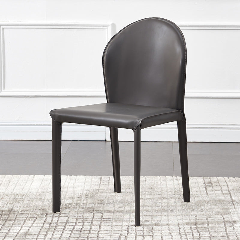 Contemporary Kitchen Dining Side Chair Matte Finish Dining Chair
