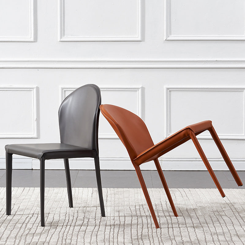 Contemporary Kitchen Dining Side Chair Matte Finish Dining Chair