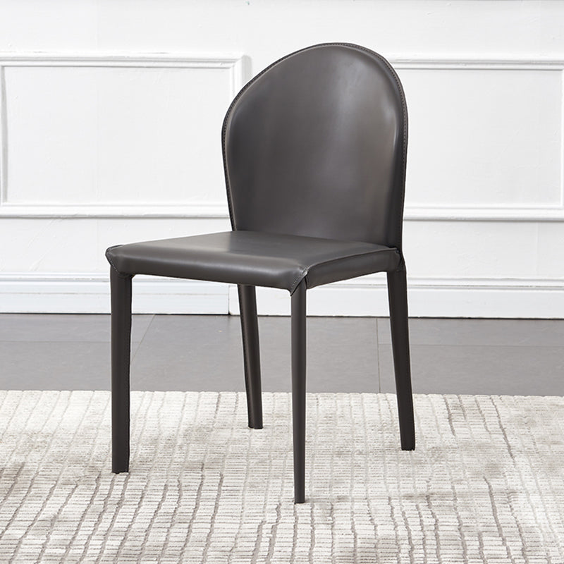 Contemporary Kitchen Dining Side Chair Matte Finish Dining Chair