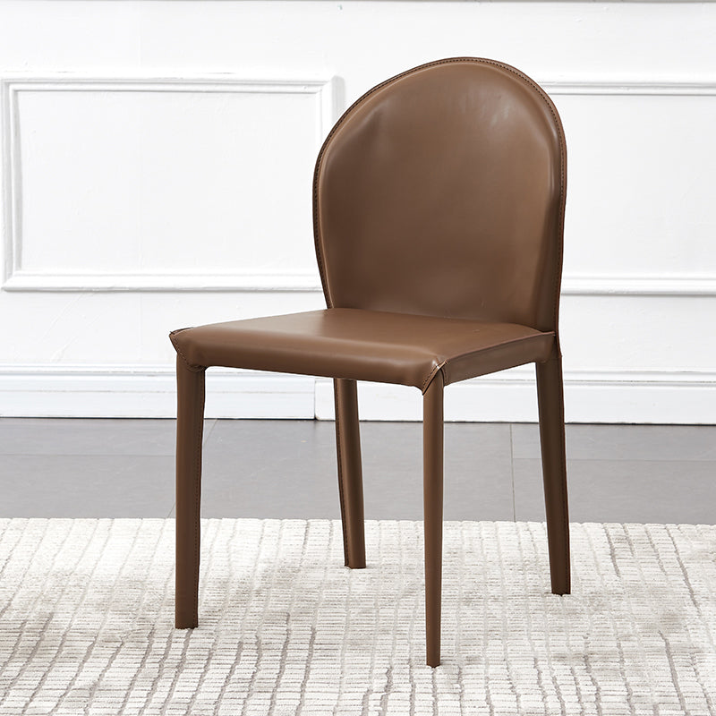 Contemporary Kitchen Dining Side Chair Matte Finish Dining Chair