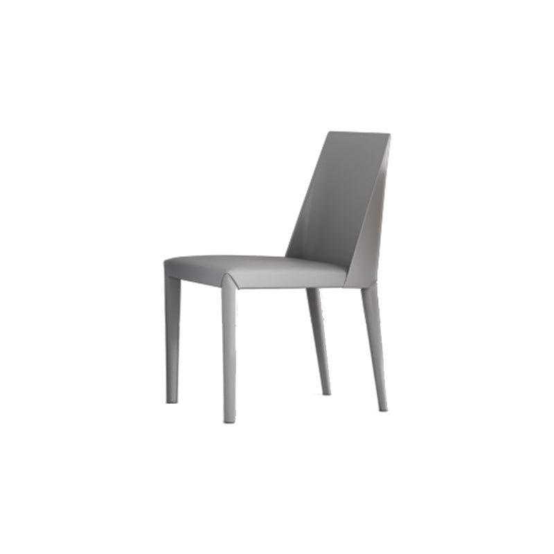 Matte Finish Dining Chair for Home Metal Modern Indoor Side Chair