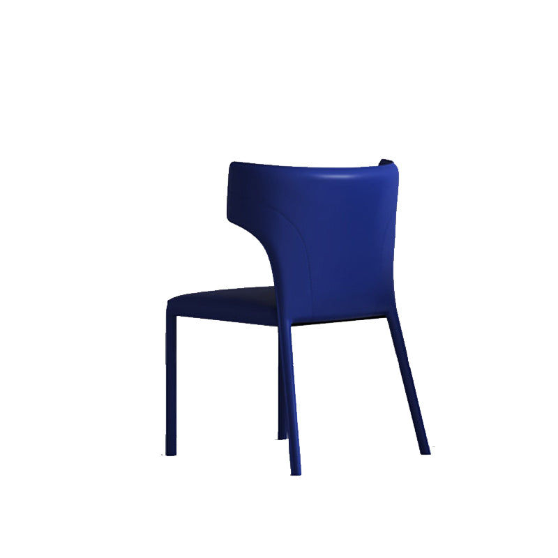 Matte Finish Dining Chair for Home Metal Modern Indoor Side Chair