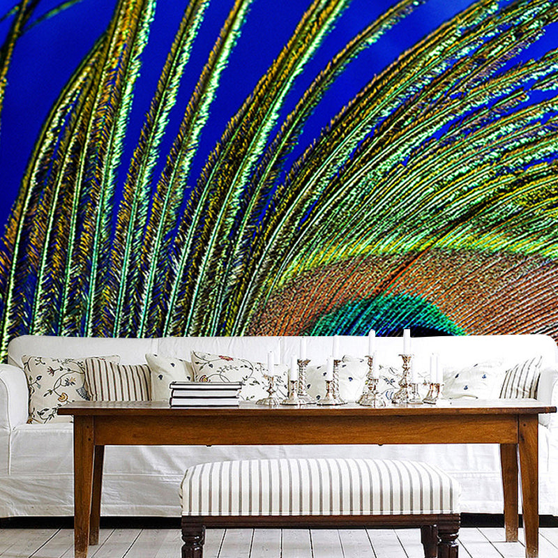 Modern Photography Wall Mural Feather Stain Resistant Decorative Wall Mural