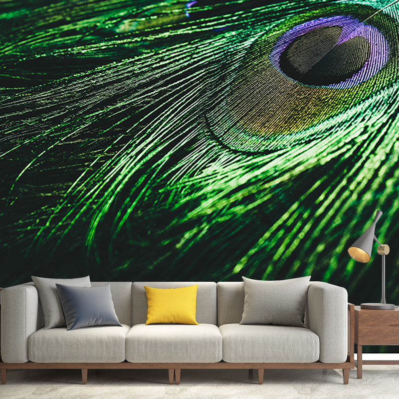 Modern Photography Wall Mural Feather Stain Resistant Decorative Wall Mural