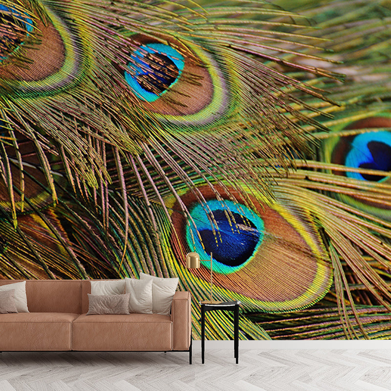 Feather Decorative Wall Mural Stain Resistant Photography Living Room Wall Mural