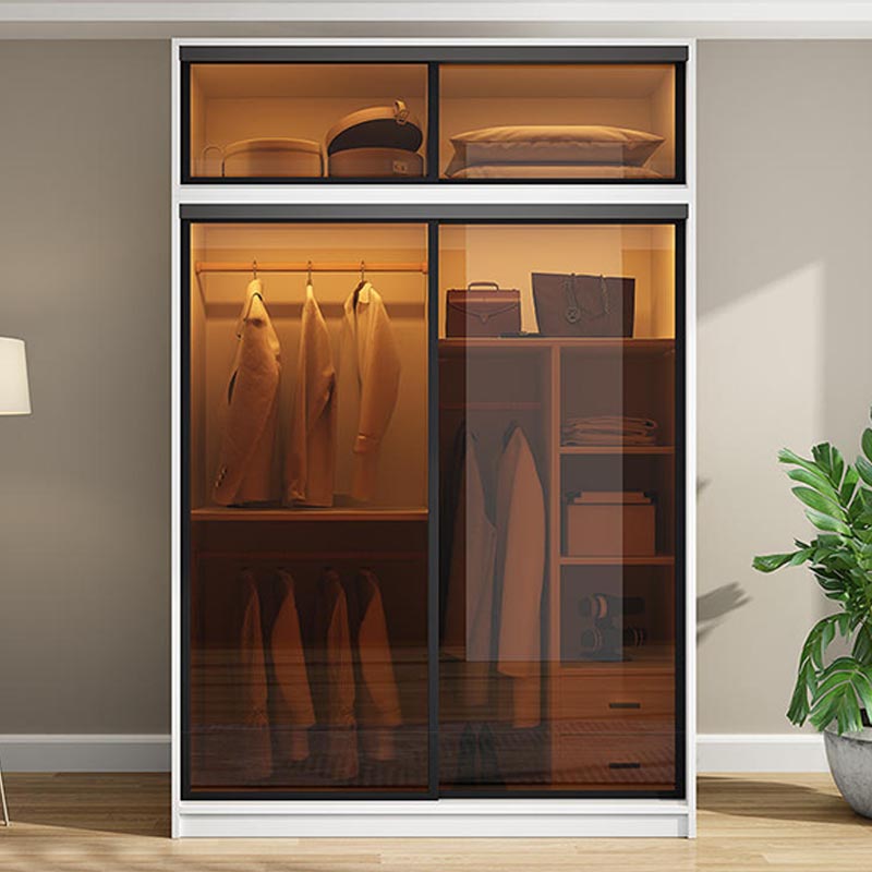Modern Wardrobe for Home Mirrored Finish Cabinet with Glass Doors