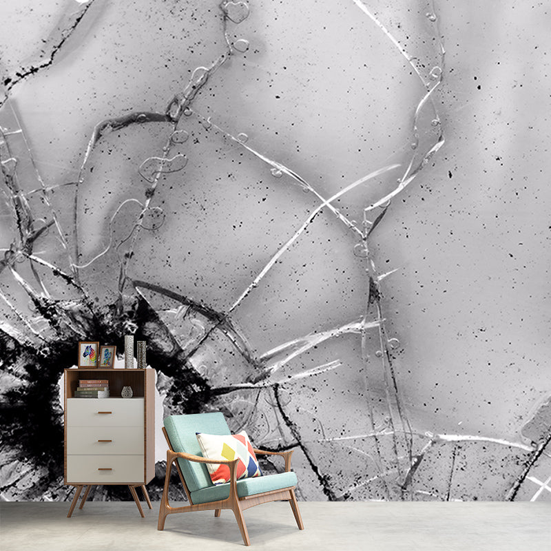 Illustration Wall Mural Classic Stain Resistant Art Wall Murals for Home