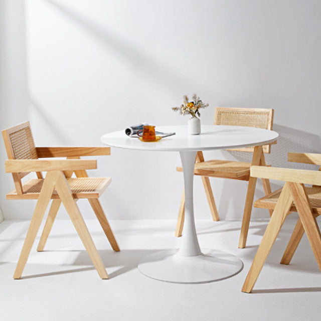 Contemporary Style Chairs Dining Arm Chair with Wooden Legs for Kitchen