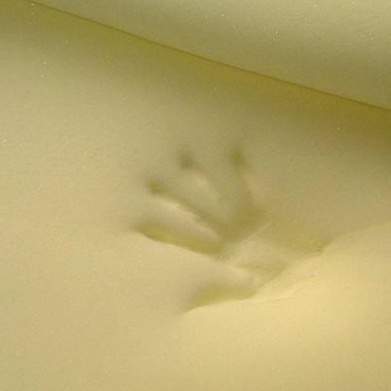 Modern Velvet Standard Tear Resistant Solid Color Indoor Standard