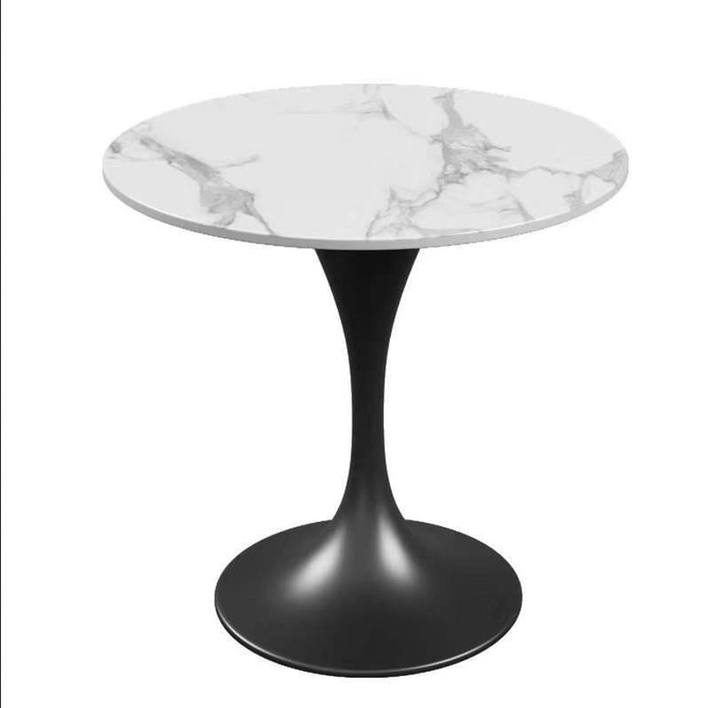 Modern Sintered Stone Dining Set Round 1/2/3/4/5 Pieces Dining Set for Home Use