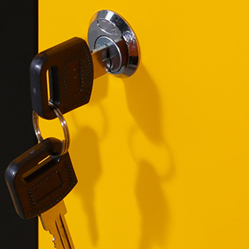 Metal Matte Finish Cabinet Contemporary Style Storage Cabinet with Hinged Doors