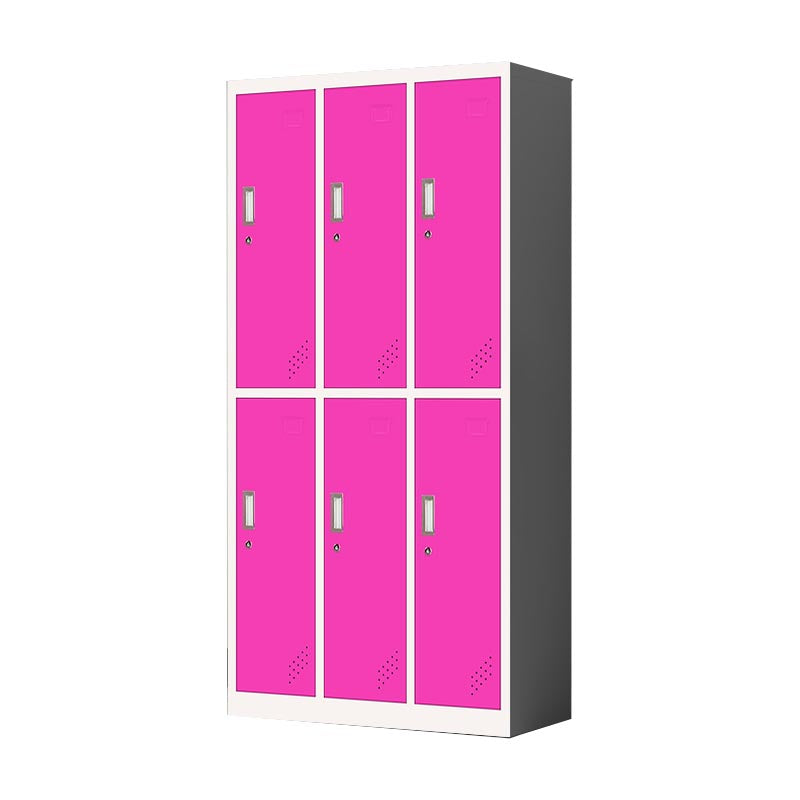 Metal Matte Finish Cabinet Contemporary Style Storage Cabinet with Hinged Doors