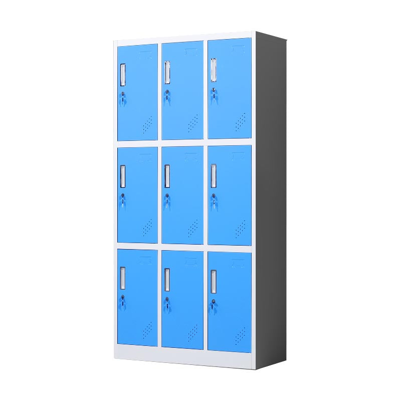 Metal Matte Finish Cabinet Contemporary Style Storage Cabinet with Hinged Doors