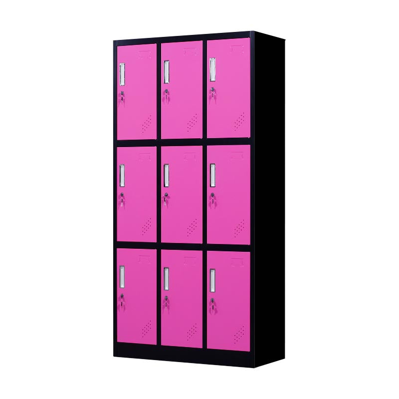 Metal Matte Finish Cabinet Contemporary Style Storage Cabinet with Hinged Doors