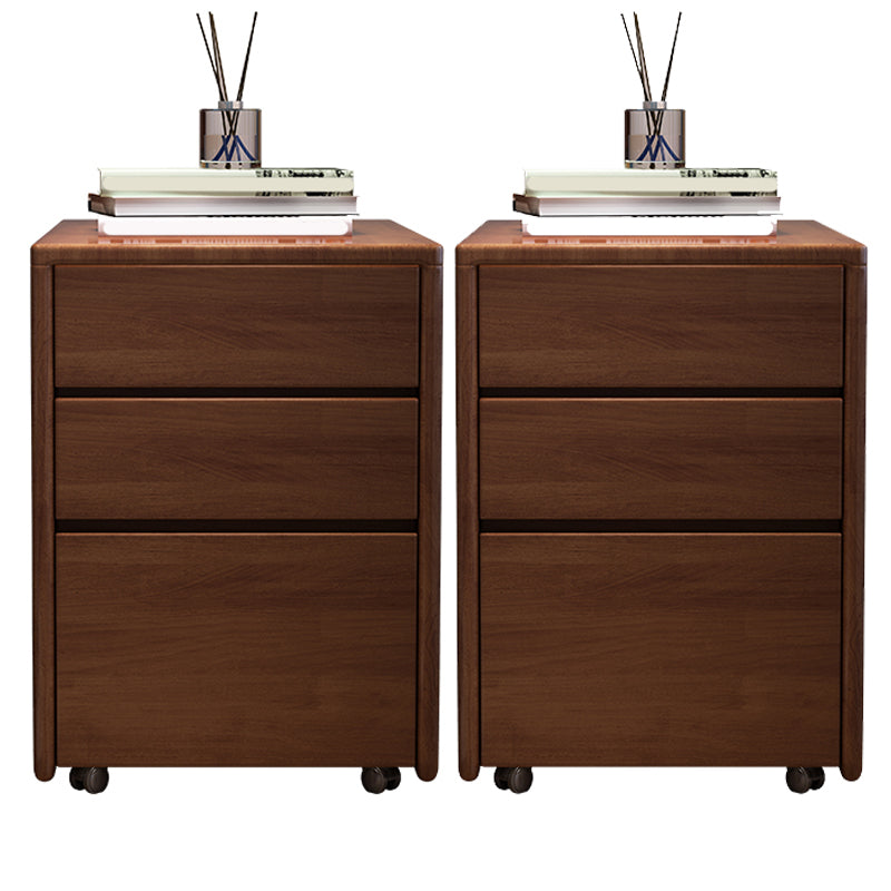 Solid Wood Bedside Cabinet Modern Minimalist Bedside Table with Drawers